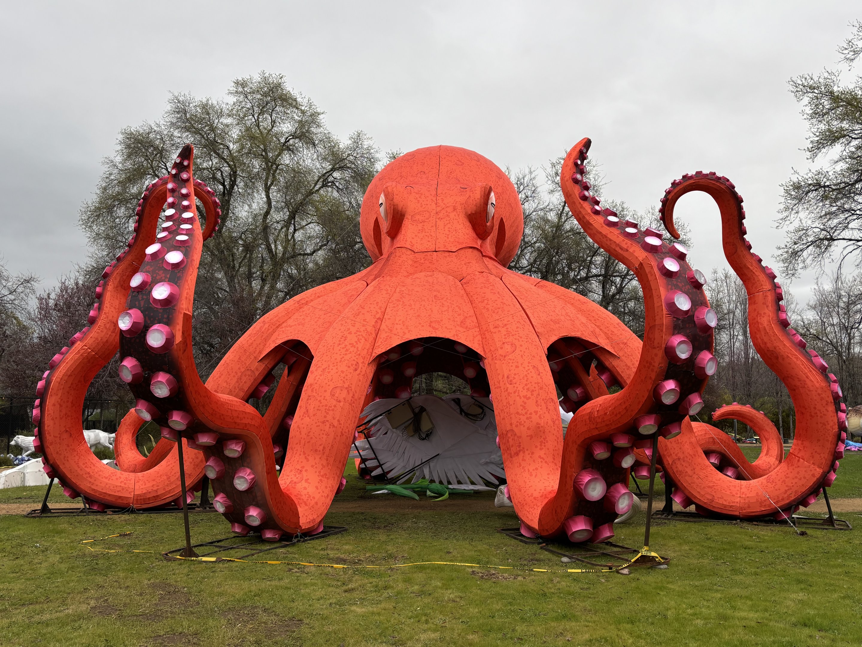 Glowing Wild Lantern Festival