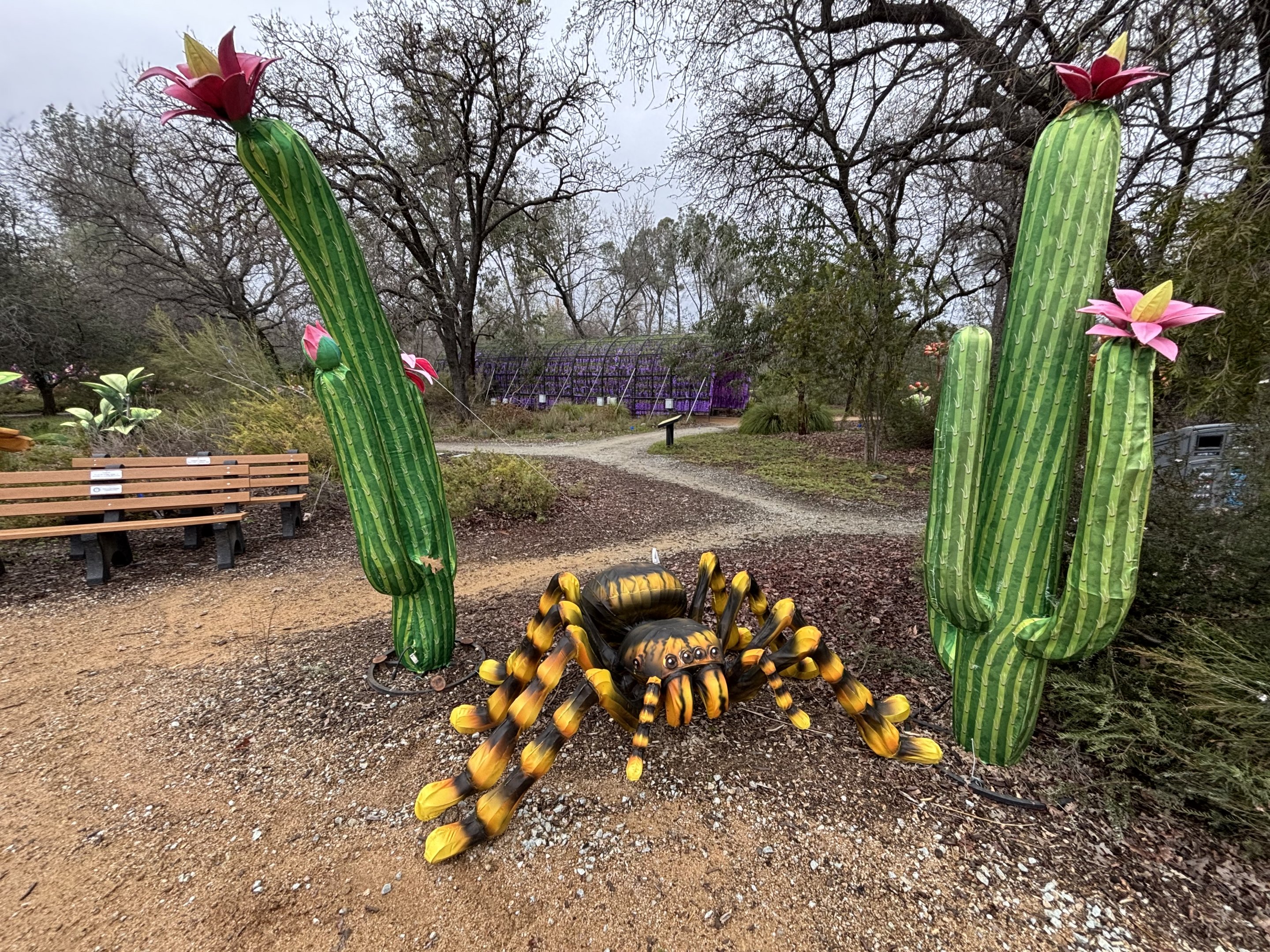 Glowing Wild Lantern Festival
