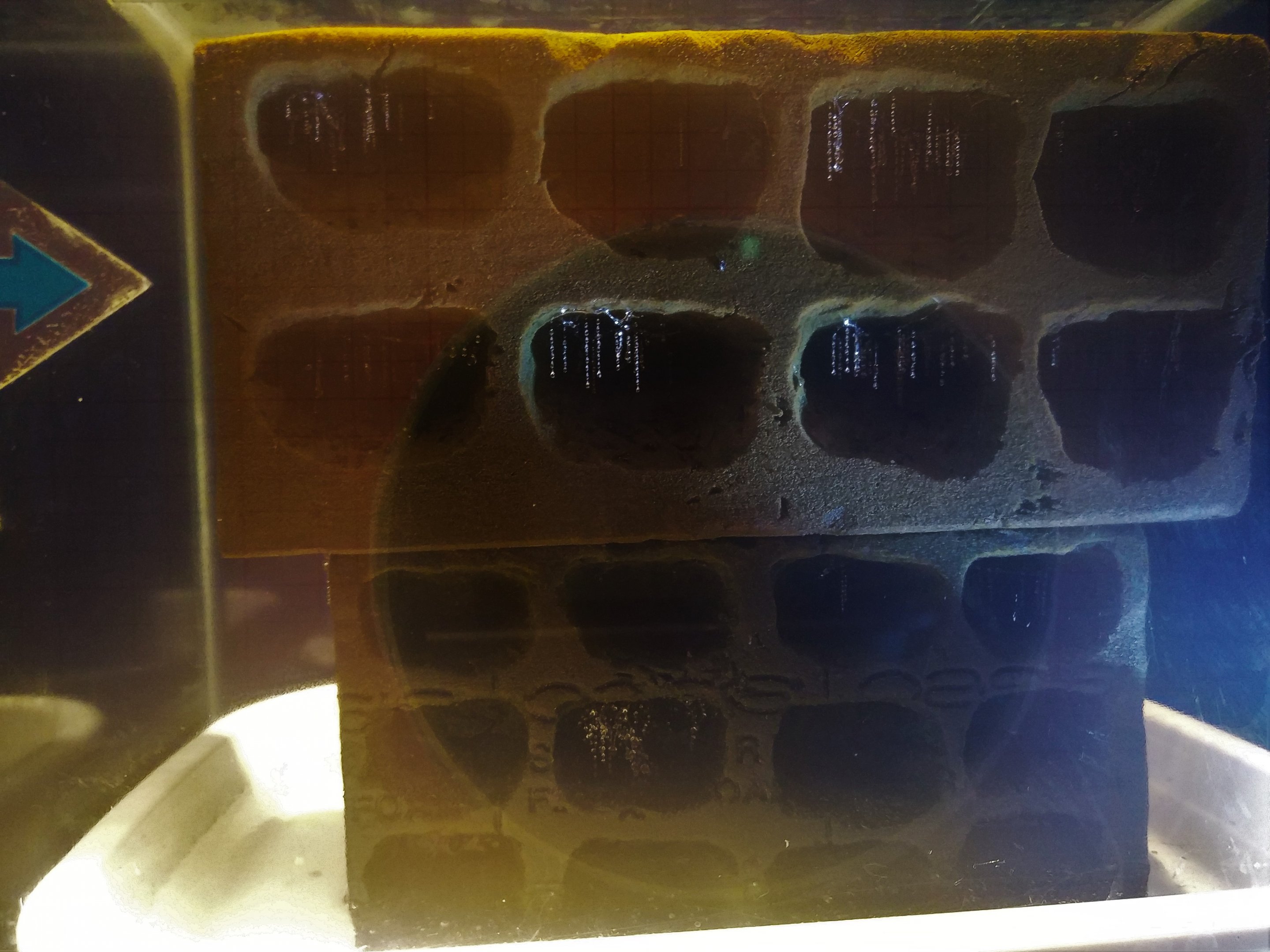 Glowworm Exhibit Setup