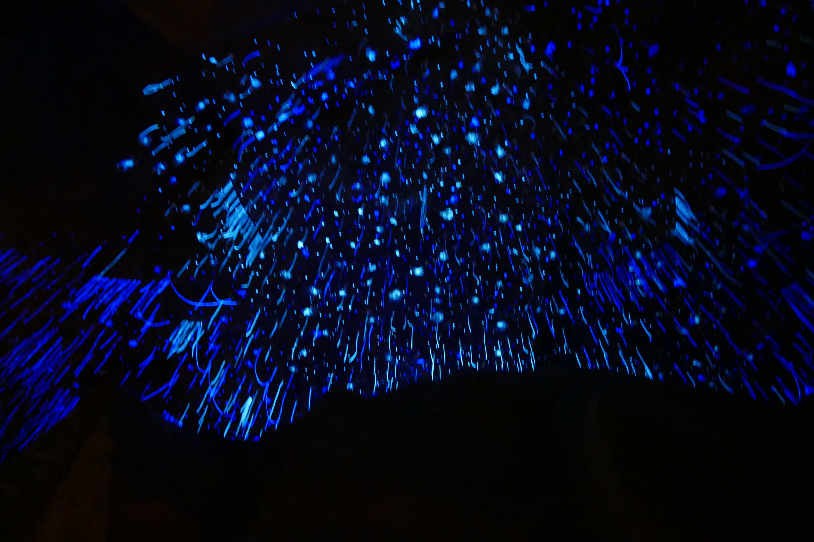 Glowworm lighting at Naracoorte cave.