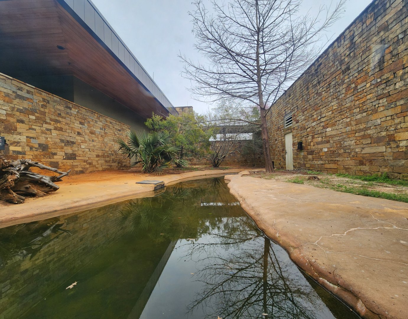 Go Fish Education Center - Alligator exhibit