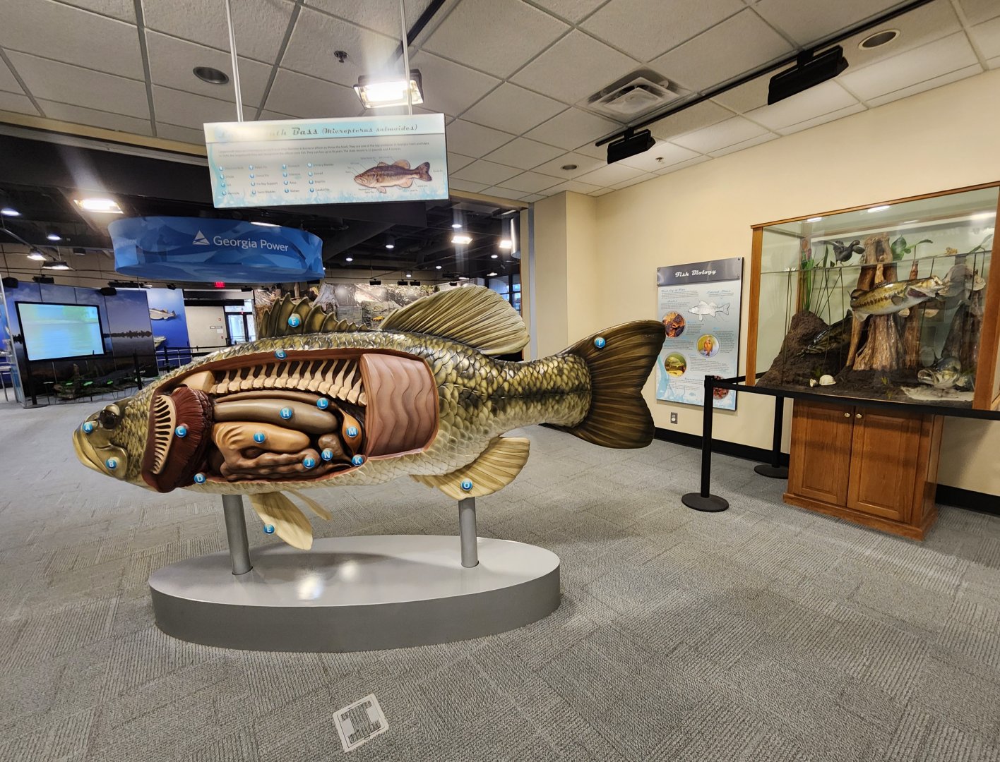 Go Fish Education Center - Fishing museum