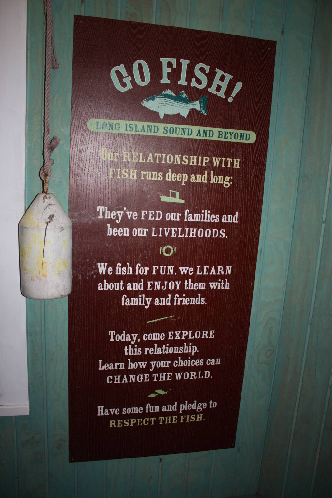 Go Fish!- Relationship Between Fish and Man