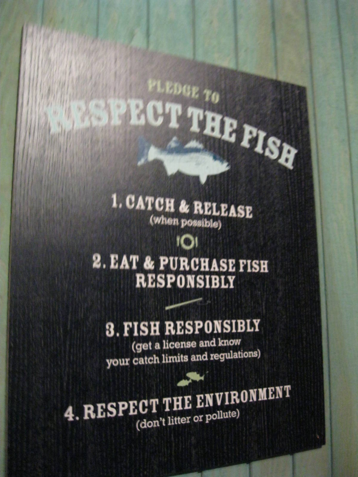 Go Fish- Respect the Fish