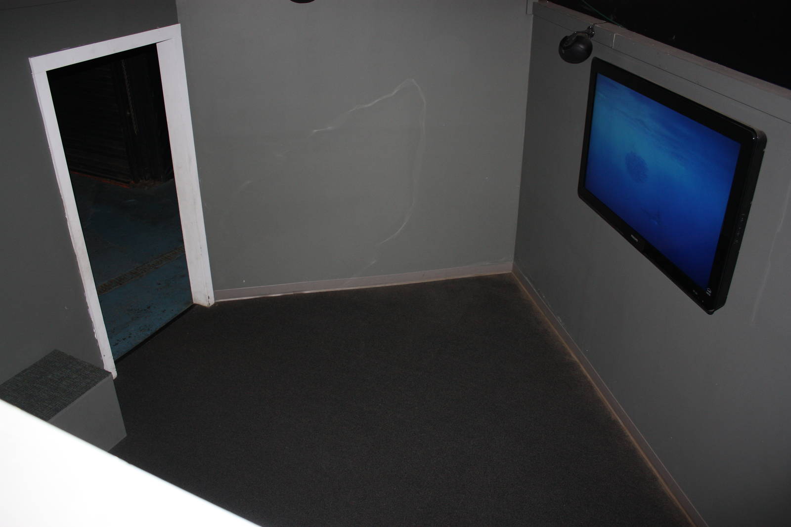 Go Fish!- Sustainable Seafood Theater