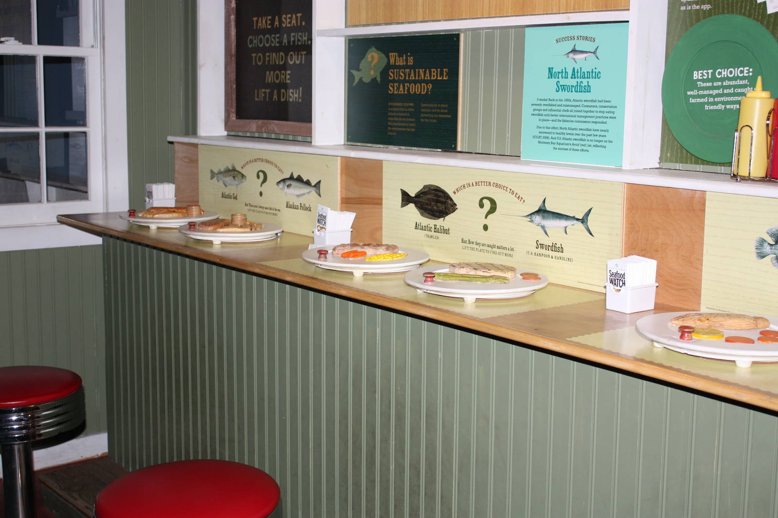 Go Fish!- The Right Choice