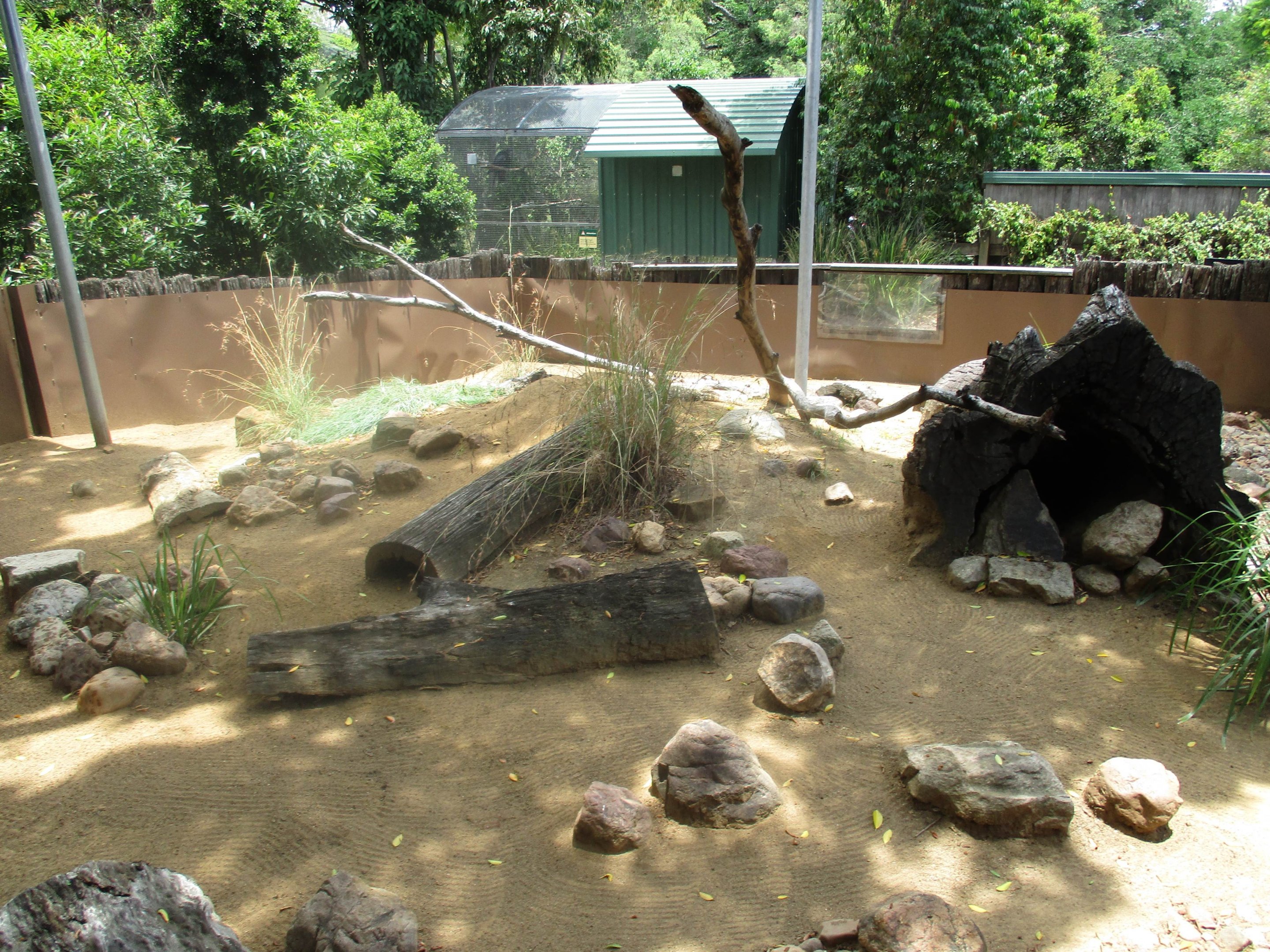 Goanna Enclosure