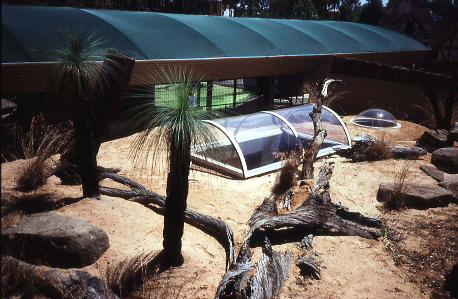 Goanna exhibit - Wonderland Zoo, 1990