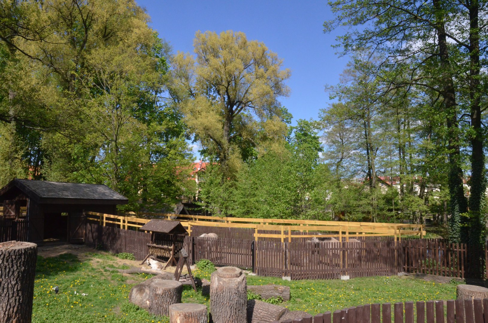 Goat and Pony Enclosures at Akcent Zoo Białystok, 08/05/19