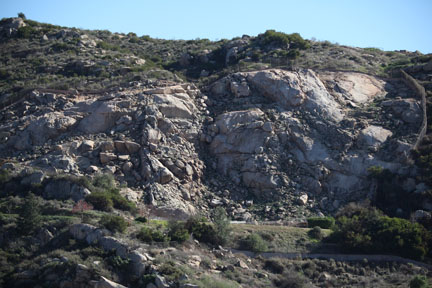 goat and sheep mountain