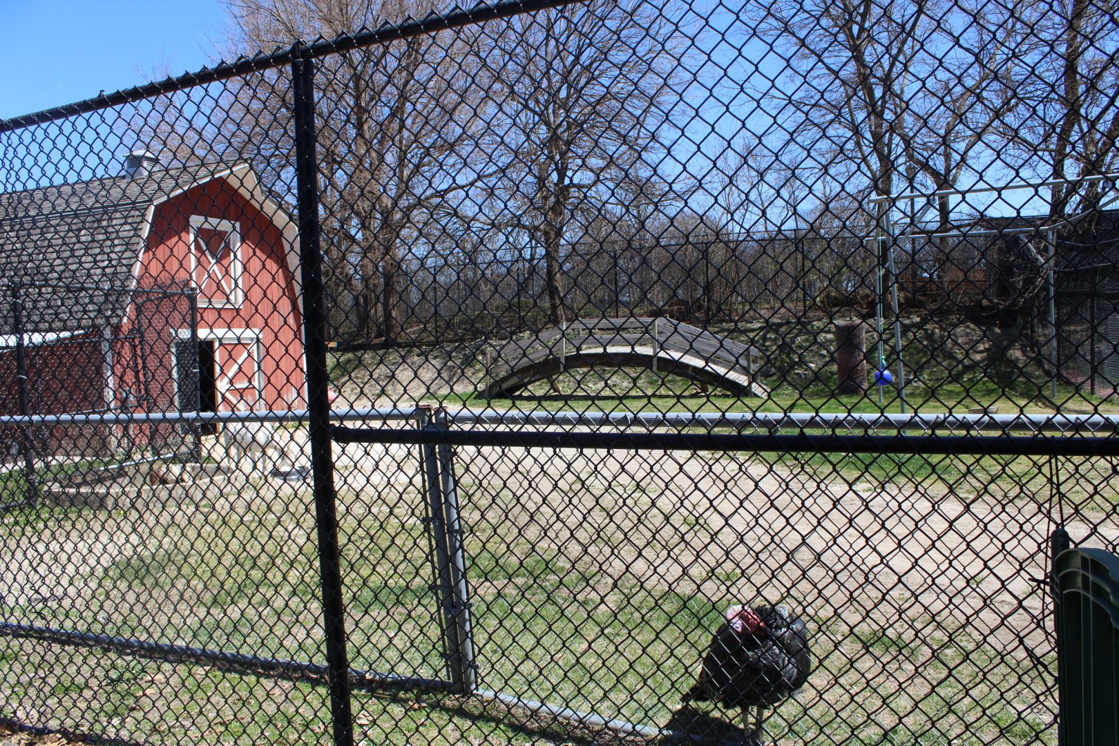 Goat and Wild Turkey Exhibit