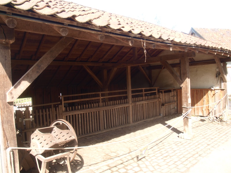 Goat barn (May 2nd, 2015)