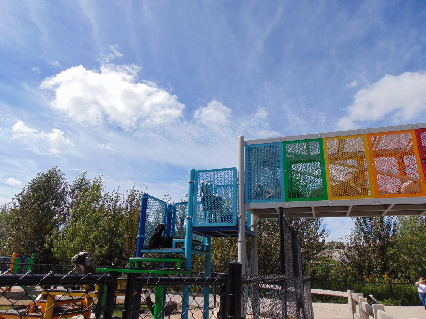 Goat bridge - Aunt Sally's Farm