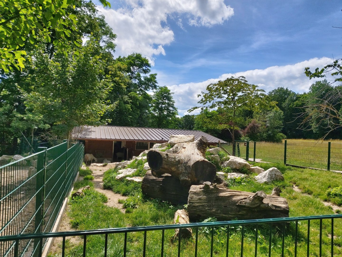 Goat enclosure - Bioparc Genève