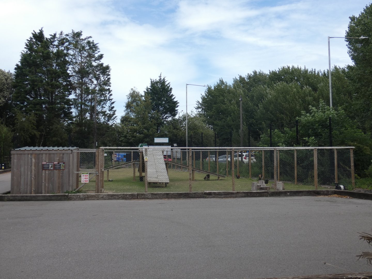 Goat enclosure by car park