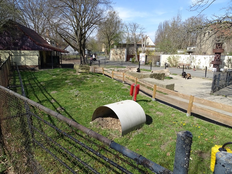 Goat enclosure