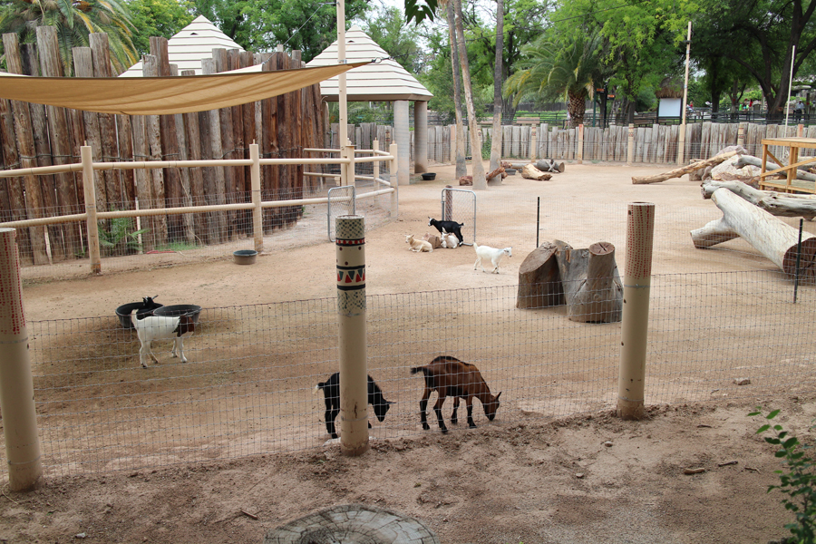 goat exhbit (former camel ride, former elephant)