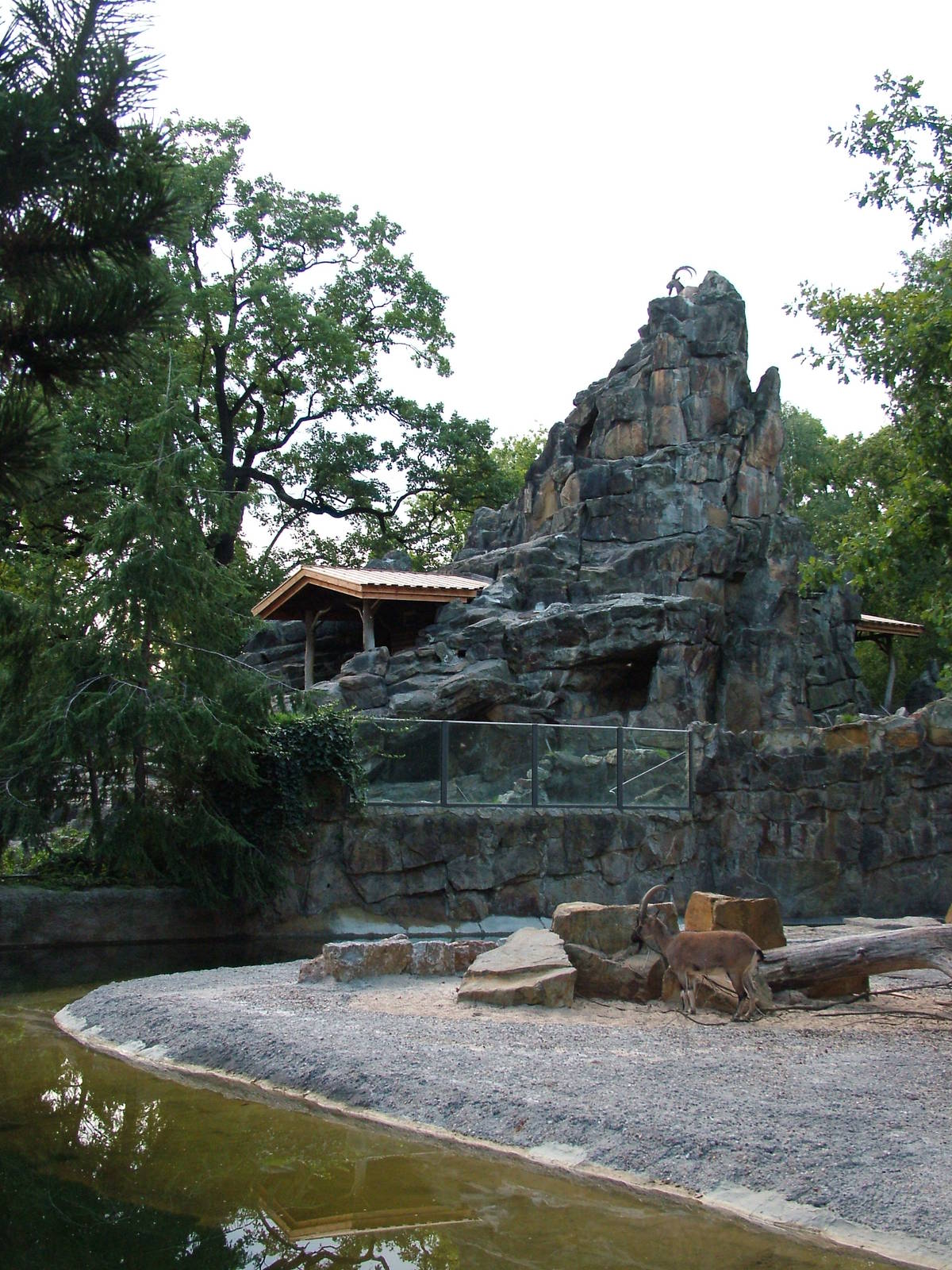 Goat Exhibits at Berlin Zoo, 31/08/11