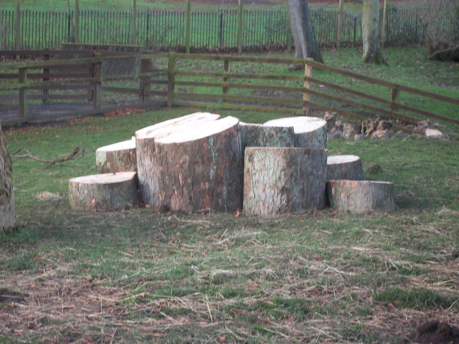 Goat Mountain II, December 2013