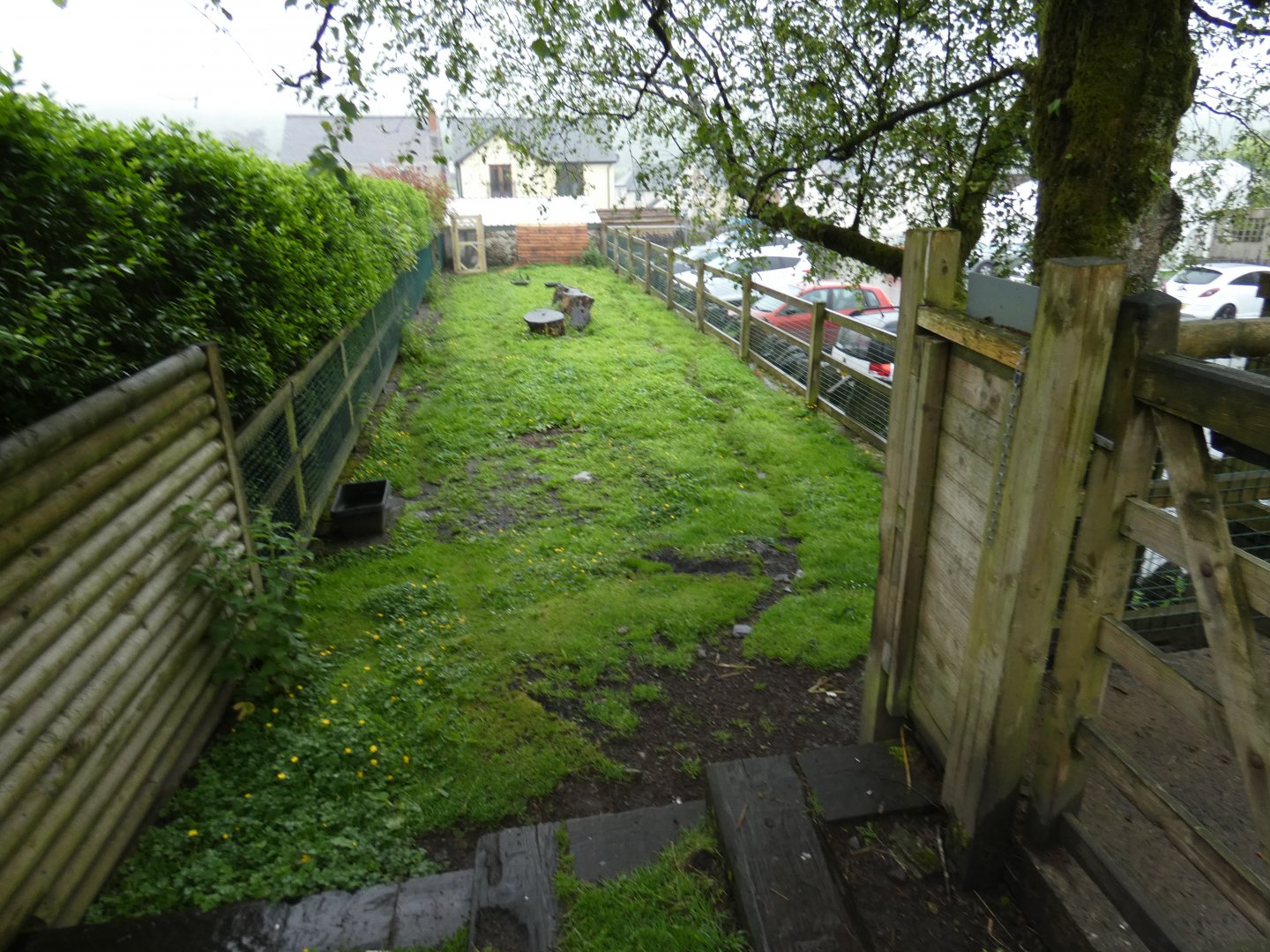 Goat paddock (Pen-y-cae Inn Zoo)