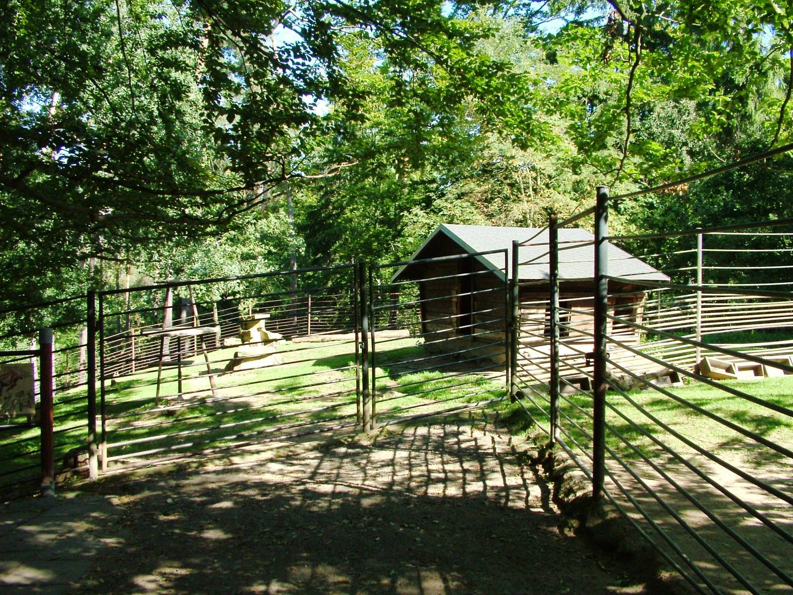 Goat Paddocks at Liberec, 28/08/12