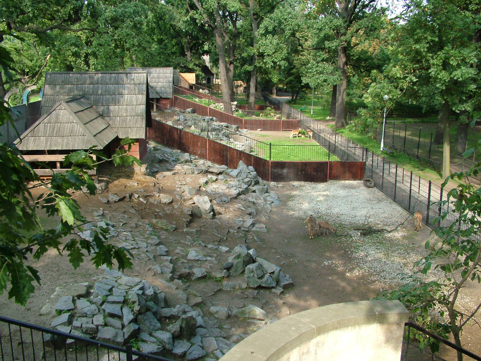 Goat paddocks at Wroclaw Zoo Sept 2008