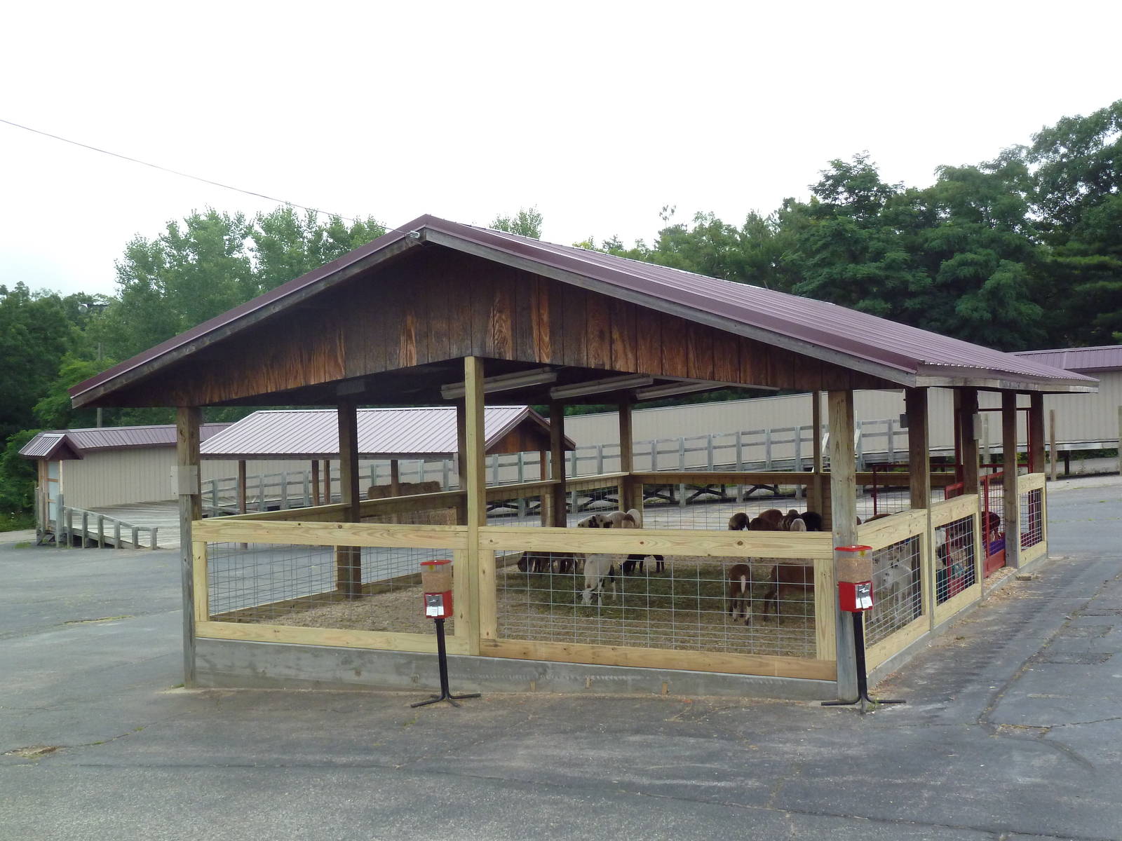 Goat Petting Enclosure