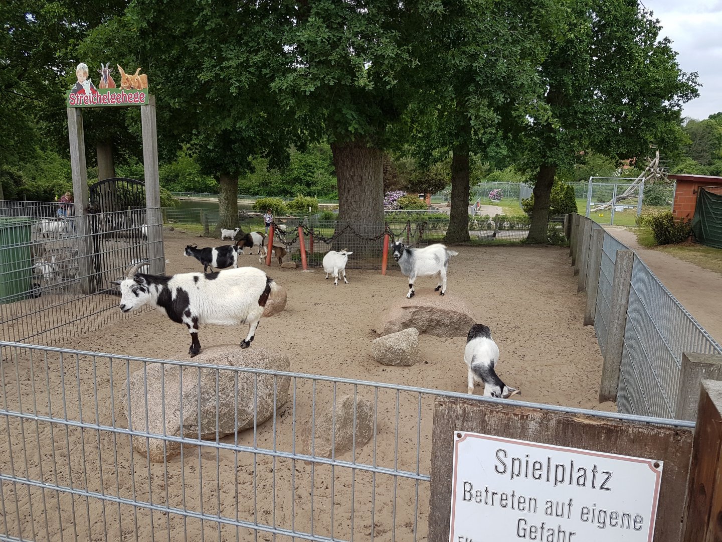 Goat-petting enclosure