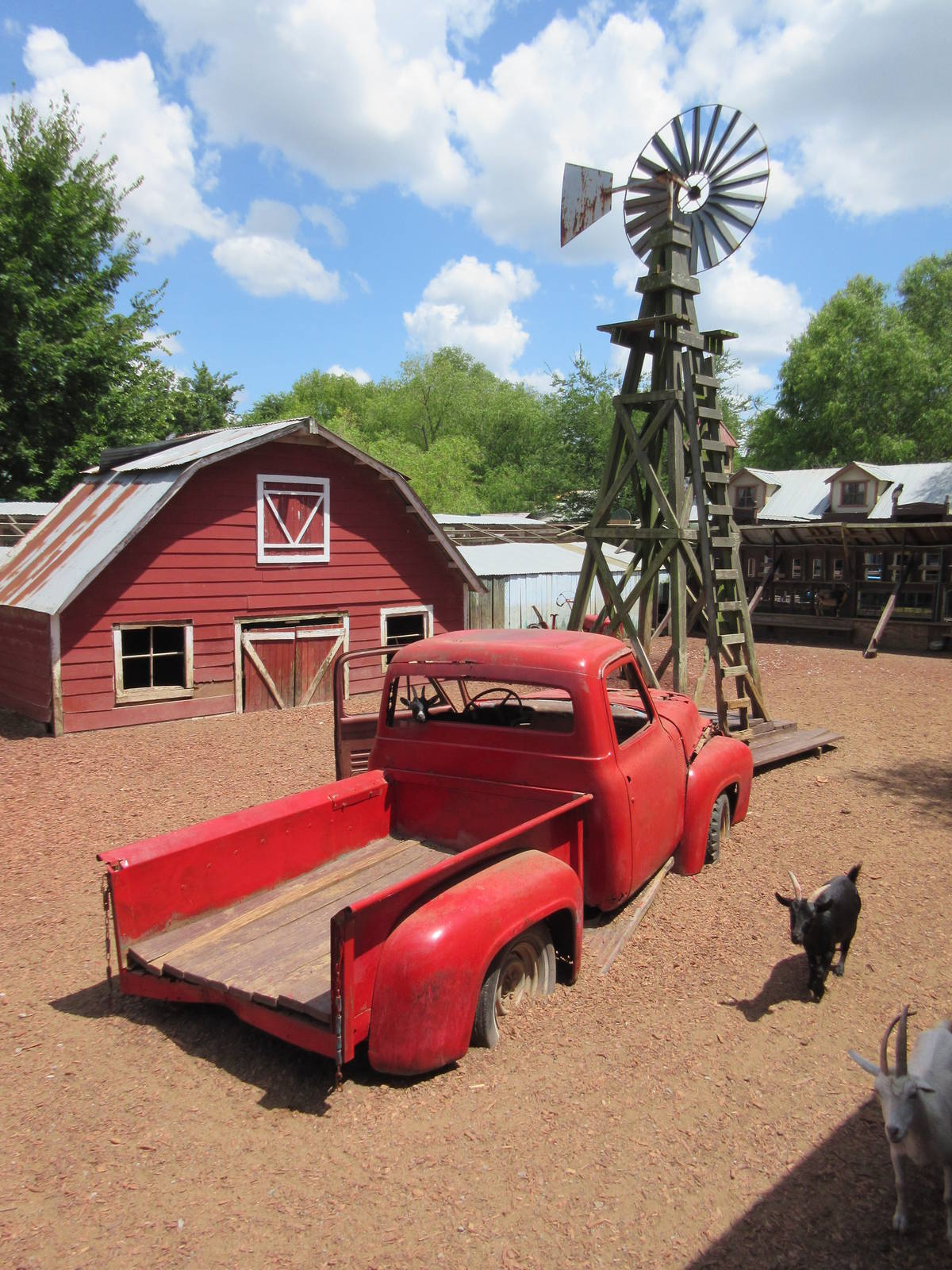 Goat Petting Paddock