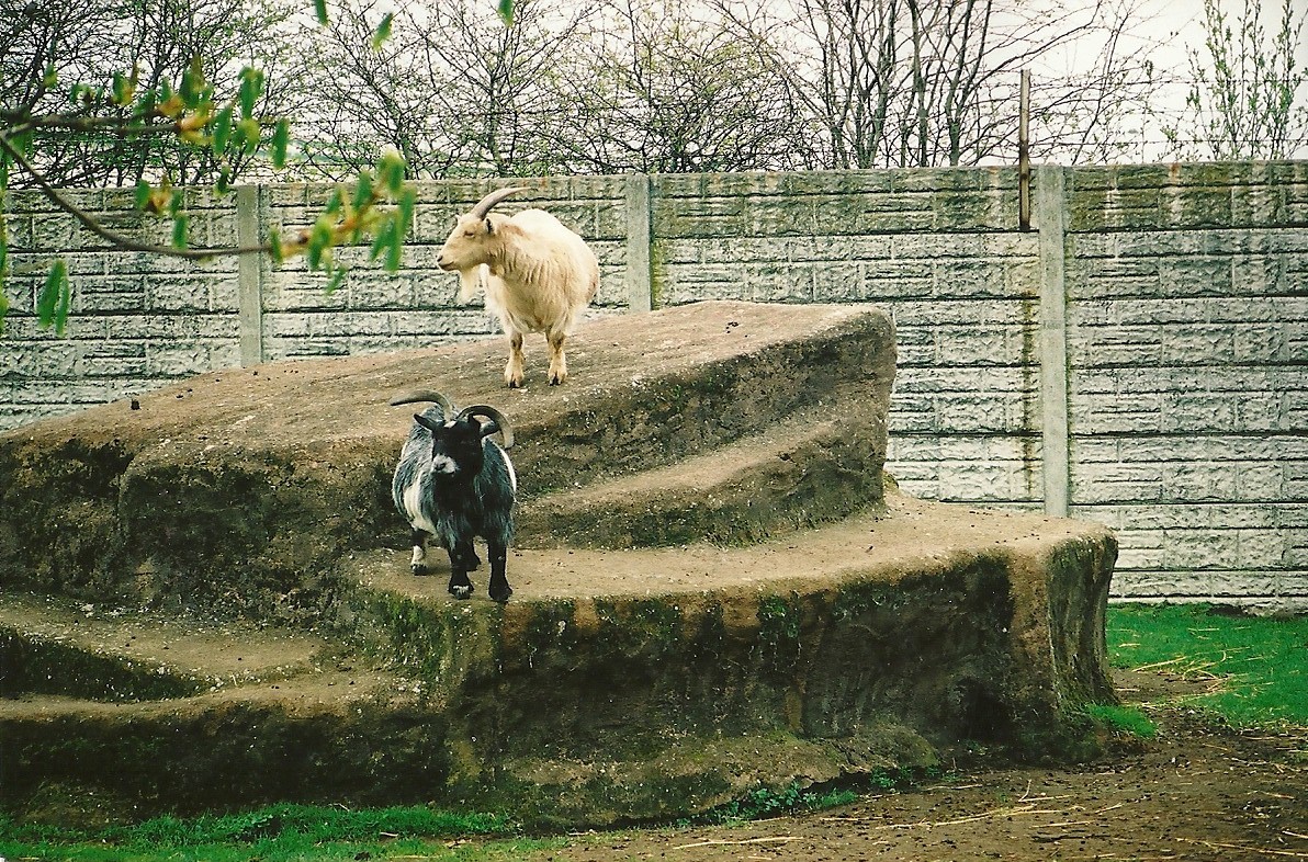 Goat rock 16th April 2004