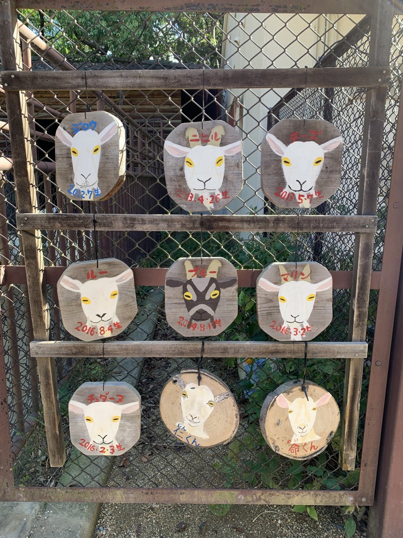 Goat Signage (Himeji City Zoo)