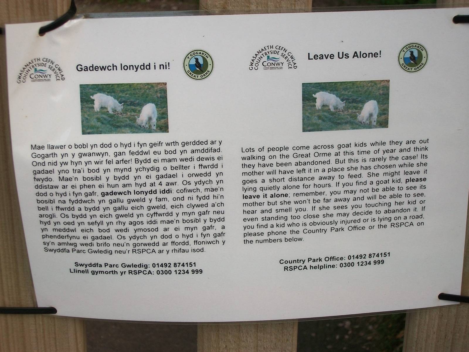 Goat signage on the Great Orme 21st May 2013