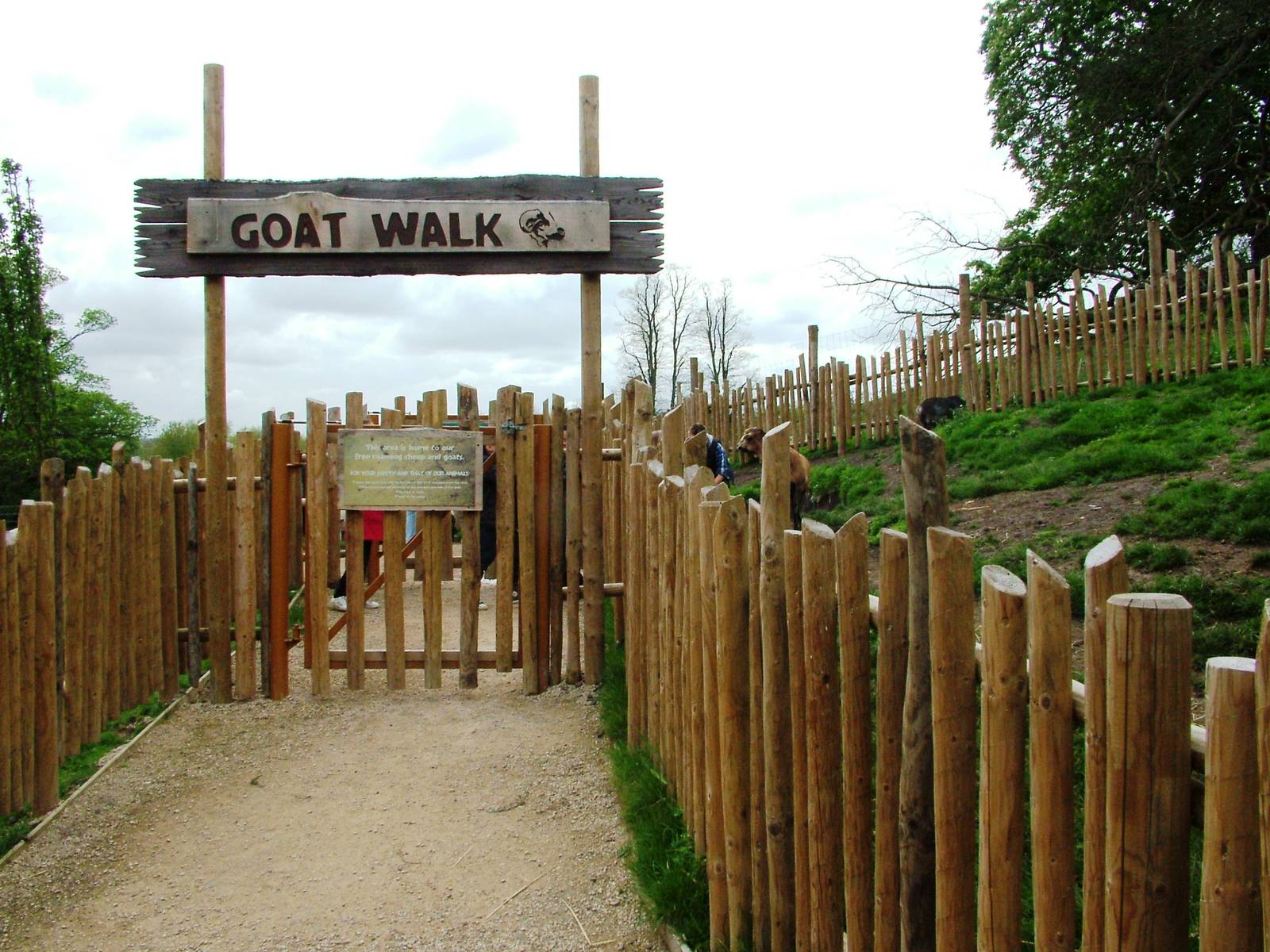Goat Walk at West Mids, 05/05/12