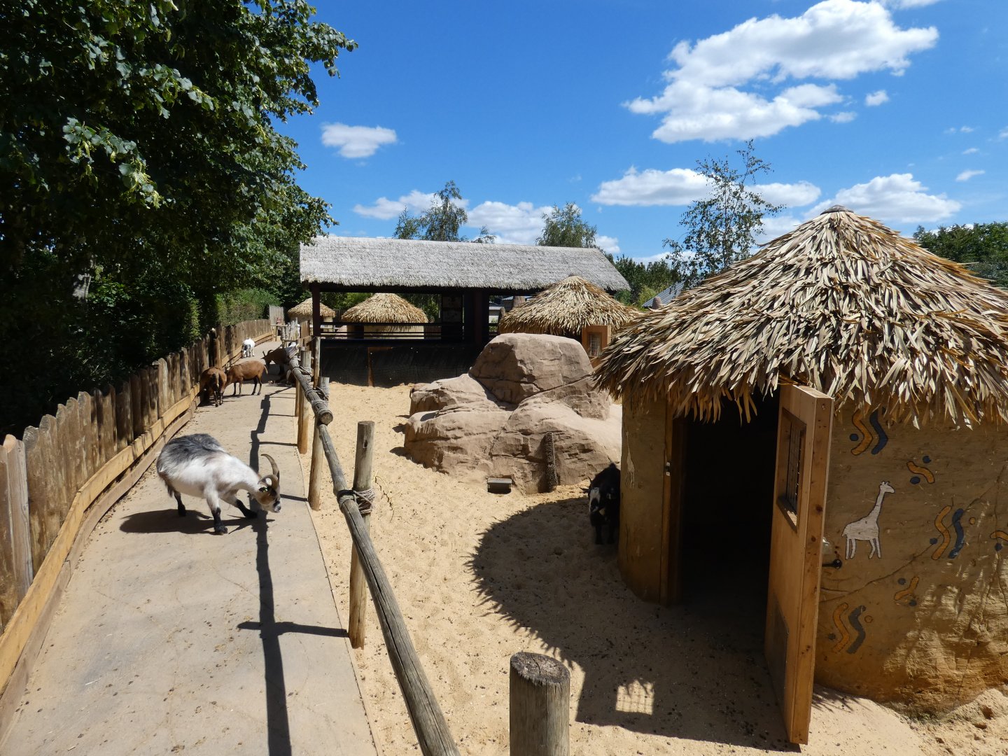 Goat walk-through enclosure