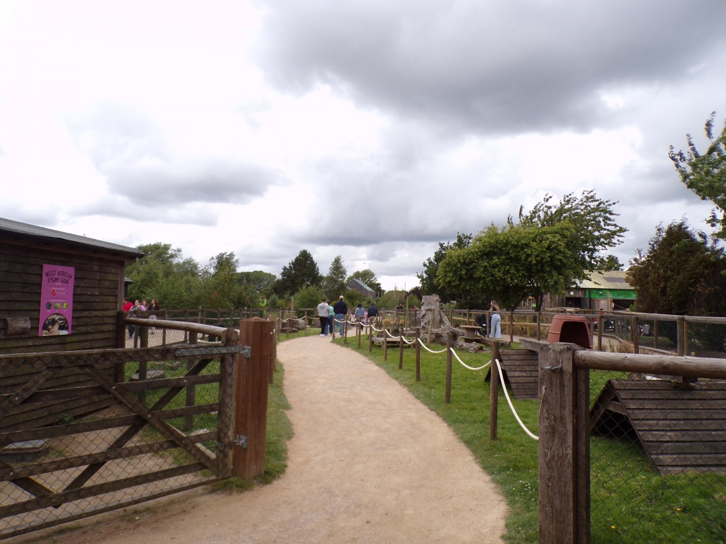 Goat walkthrough 7.7.24