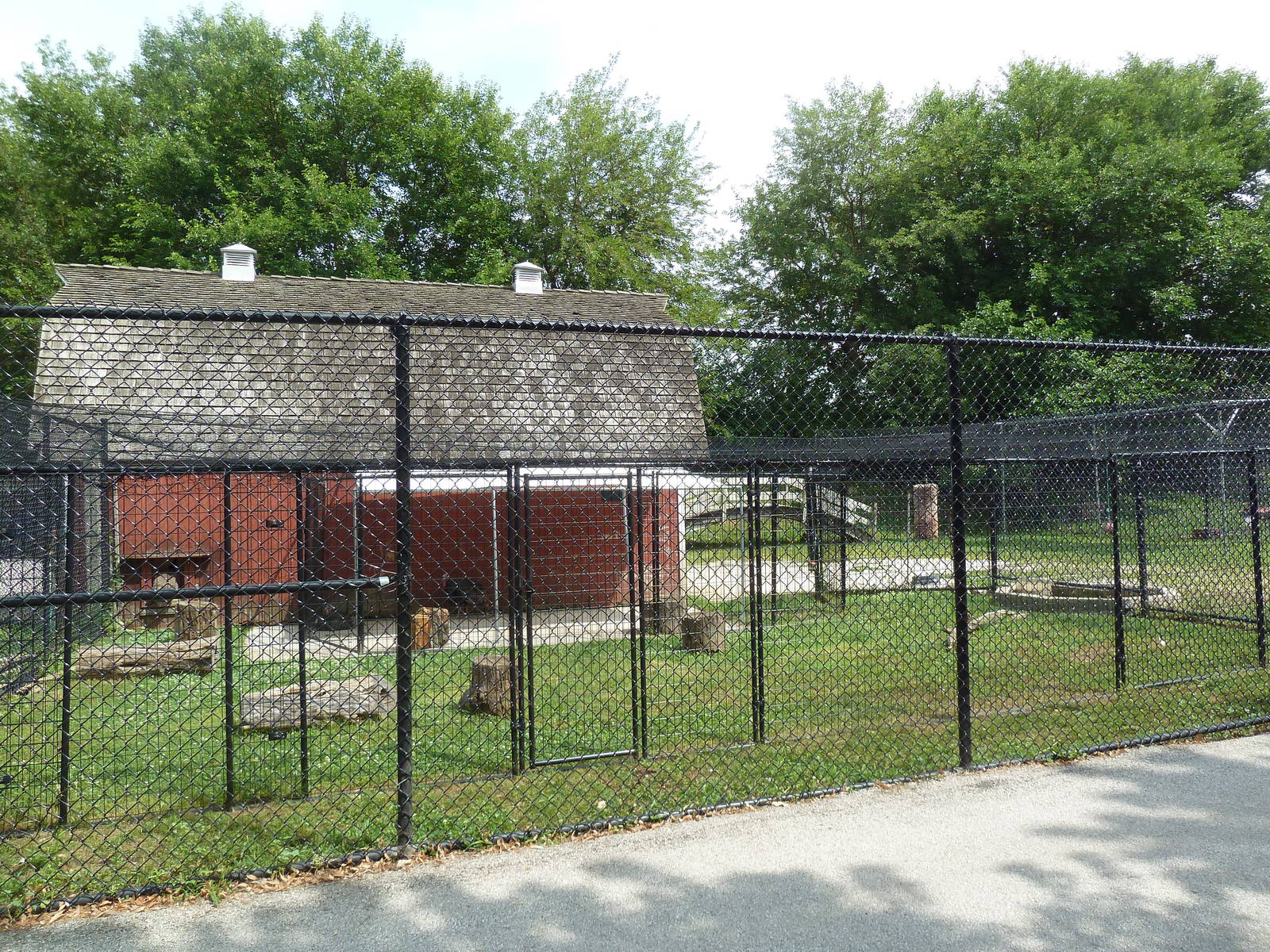 Goat/Wild Turkey Exhibit