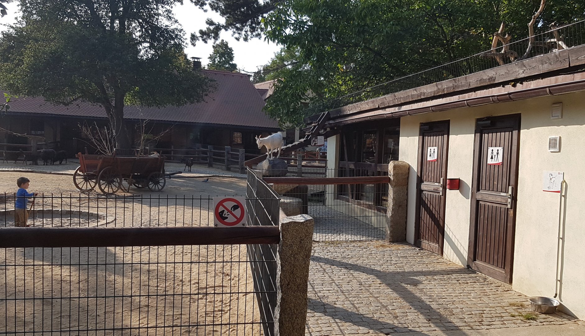 Goats on the restaurant's roof