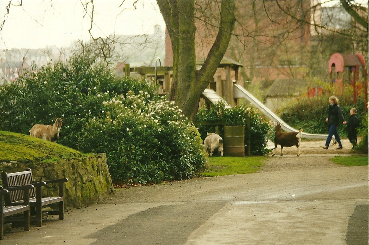 Goats on tour 4th April 1998