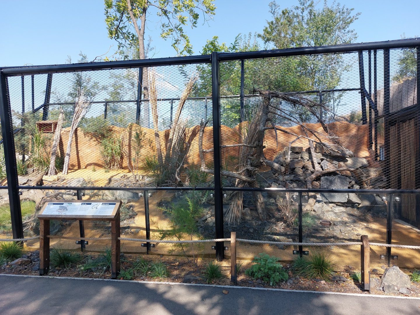 Gobi - First manul enclosure