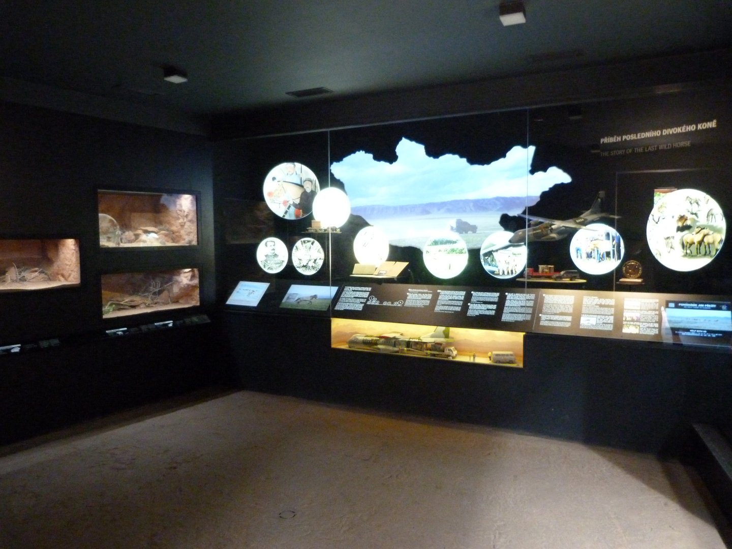 Gobi pavillion -Zoo Praha (2025)