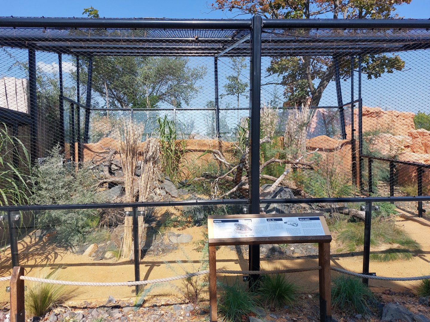 Gobi - Second manul enclosure