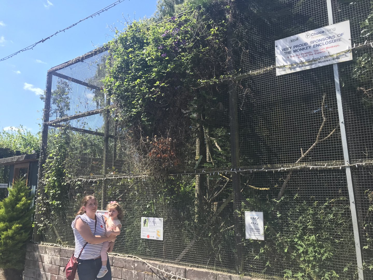 Goeldi & cotton topped tamarin enclosures