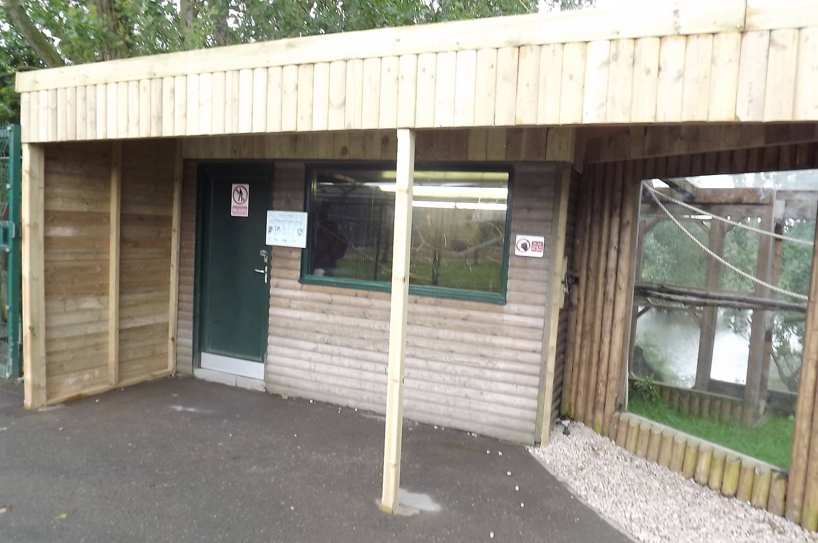 Goeldi's Marmoset exhibit at Blackpool Zoo 16/06/12