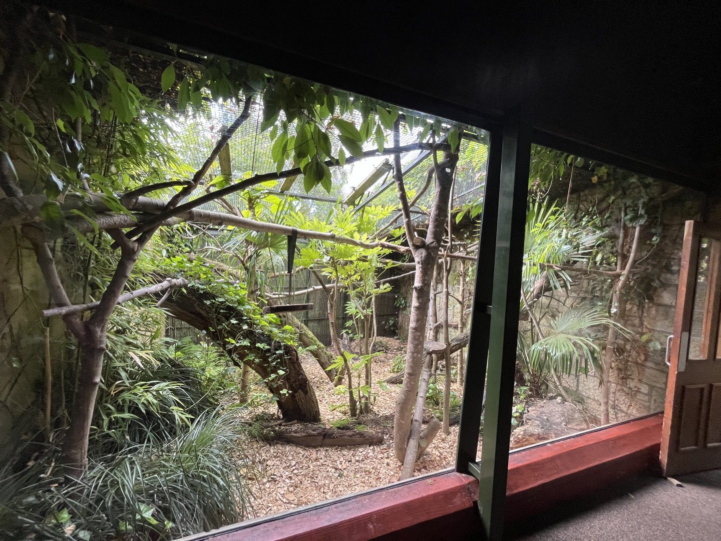 Goeldi’s monkey enclosure (0.5 version) 8.6.24