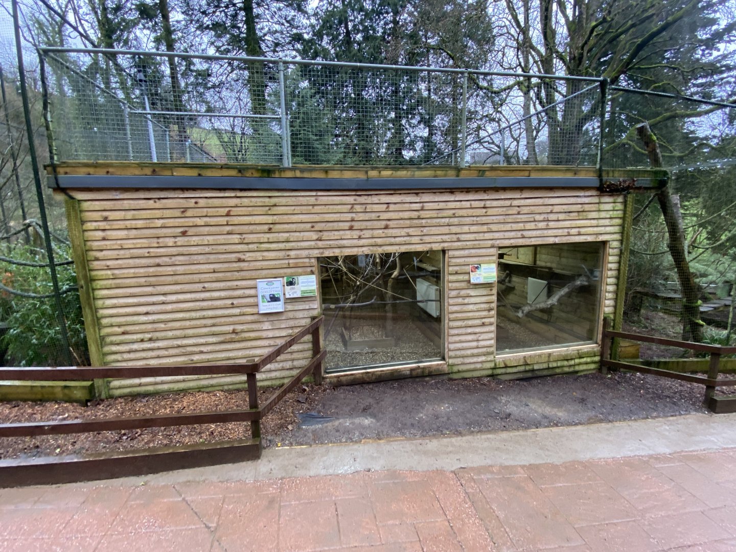 Goeldi’s monkey enclosure 170224