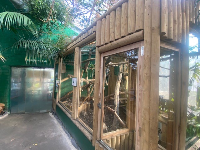 Goeldi's monkey enclosure 200922