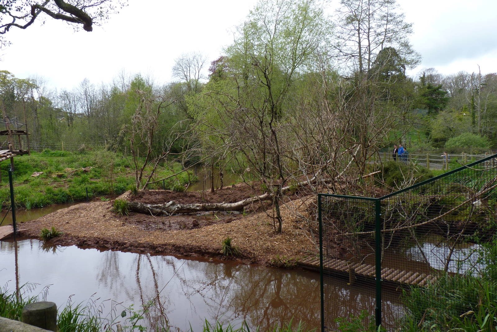 Goeldi's Monkey Enclosure, 23 April 2014