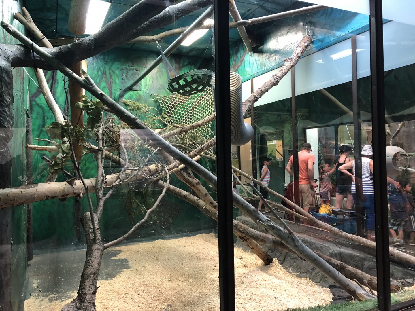 Goeldi's Monkey Enclosure at Edmonton Valley Zoo (July 2022)