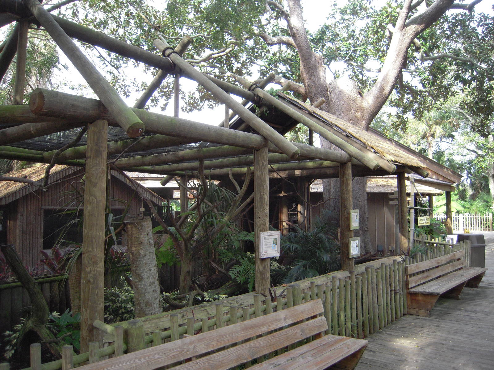 Goeldi's Monkey Enclosure