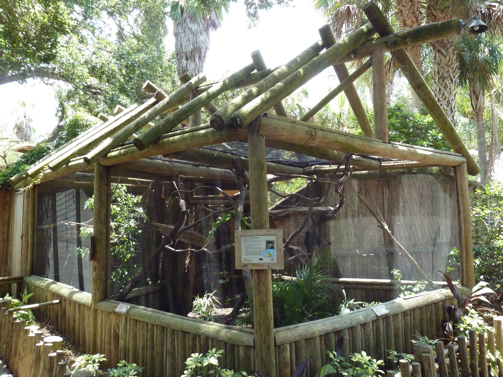 Goeldi's Monkey Exhibit
